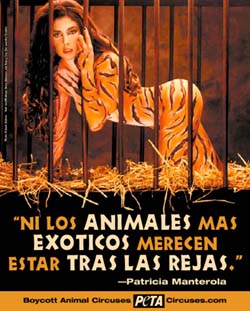 PETA